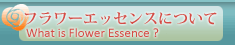 フラワーエッセンスについて What is Flower Essence?